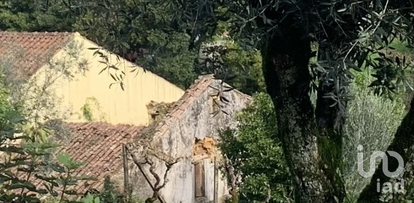 Gîte T2 à Figueiró dos Vinhos e Bairradas de 70 m²