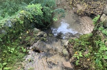 Gîte T2 à Figueiró dos Vinhos e Bairradas de 70 m²