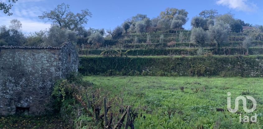 Gîte T2 à Figueiró dos Vinhos e Bairradas de 70 m²