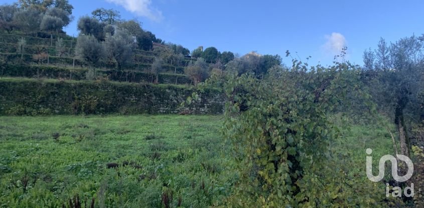 Gîte T2 à Figueiró dos Vinhos e Bairradas de 70 m²