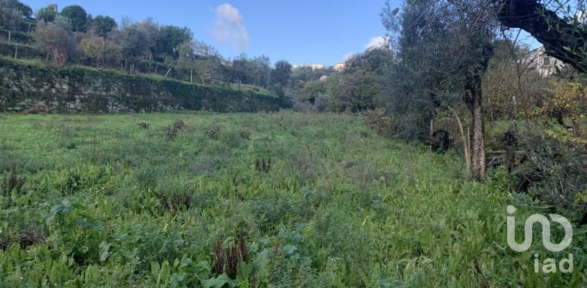 Gîte T2 à Figueiró dos Vinhos e Bairradas de 70 m²