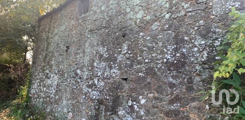 Gîte T2 à Figueiró dos Vinhos e Bairradas de 70 m²