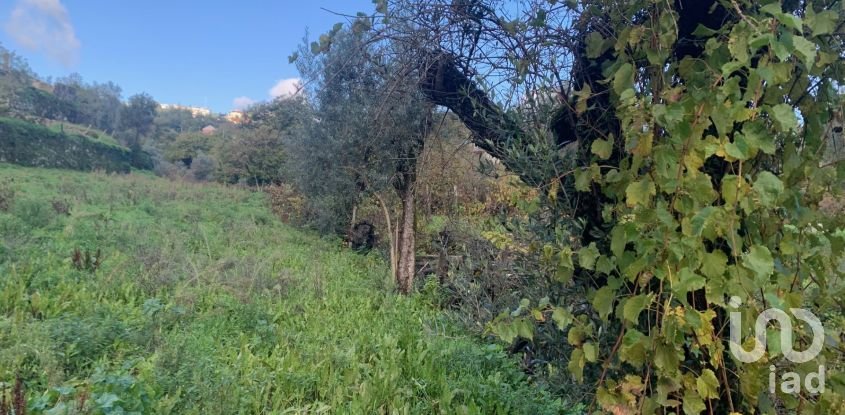 Gîte T2 à Figueiró dos Vinhos e Bairradas de 70 m²