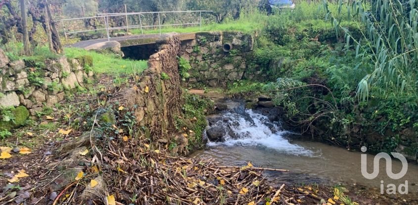Gîte T2 à Figueiró dos Vinhos e Bairradas de 70 m²
