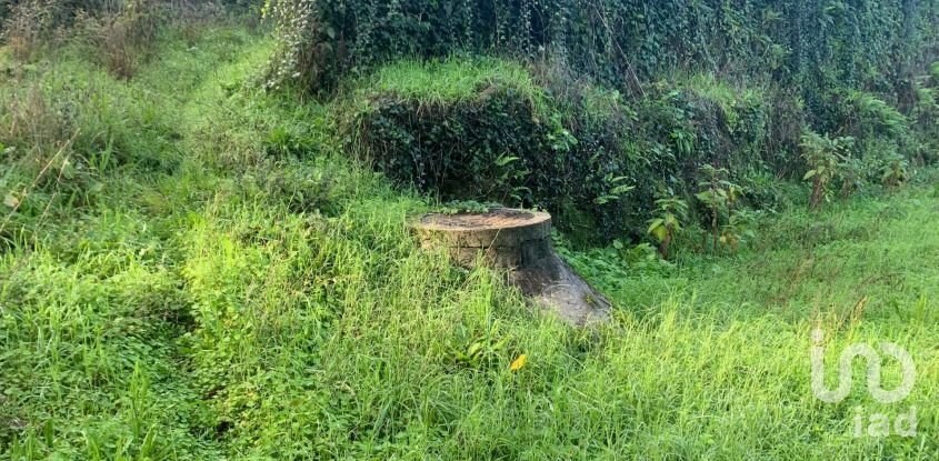 Gîte T2 à Figueiró dos Vinhos e Bairradas de 70 m²