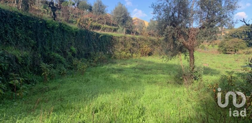 Gîte T2 à Figueiró dos Vinhos e Bairradas de 70 m²