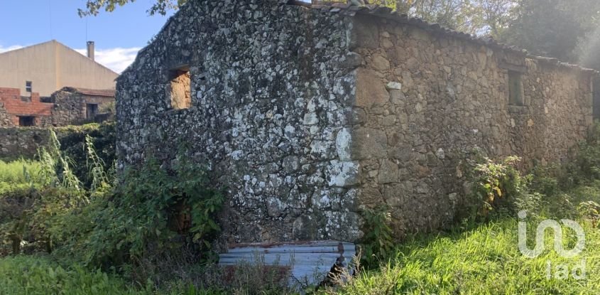 Gîte T2 à Figueiró dos Vinhos e Bairradas de 70 m²