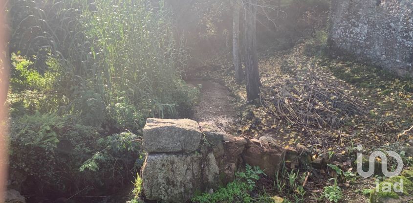 Gîte T2 à Figueiró dos Vinhos e Bairradas de 70 m²