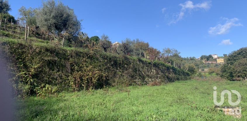 Gîte T2 à Figueiró dos Vinhos e Bairradas de 70 m²