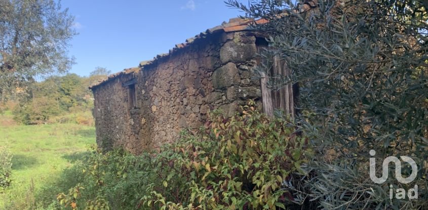 Gîte T2 à Figueiró dos Vinhos e Bairradas de 70 m²