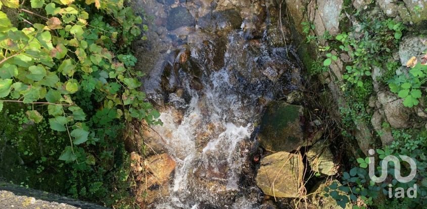 Gîte T2 à Figueiró dos Vinhos e Bairradas de 70 m²