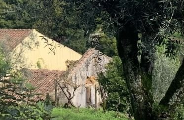 Gîte T2 à Figueiró dos Vinhos e Bairradas de 70 m²
