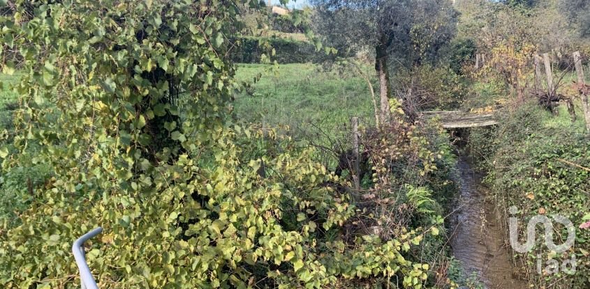 Gîte T2 à Figueiró dos Vinhos e Bairradas de 70 m²