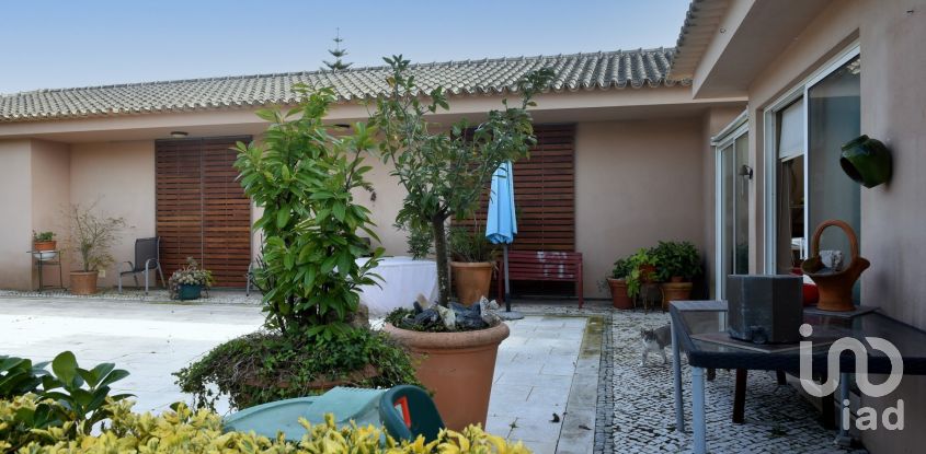Moradia T6 em Oliveirinha de 470 m²