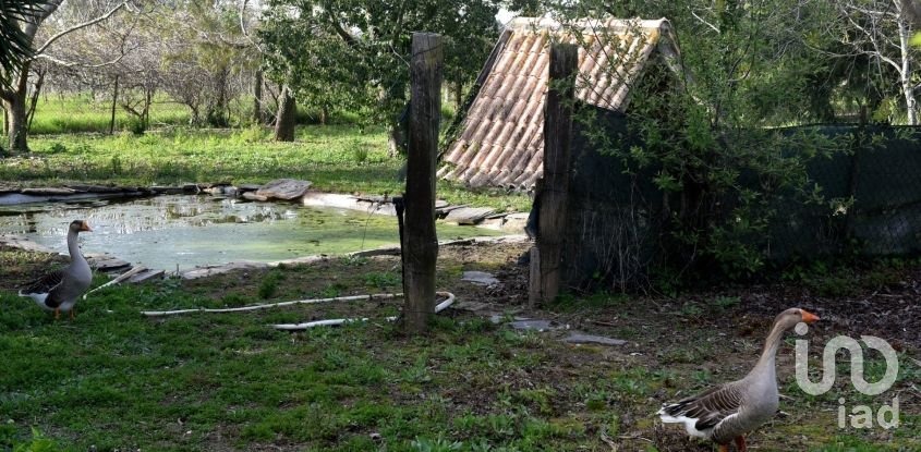 Moradia T6 em Oliveirinha de 470 m²