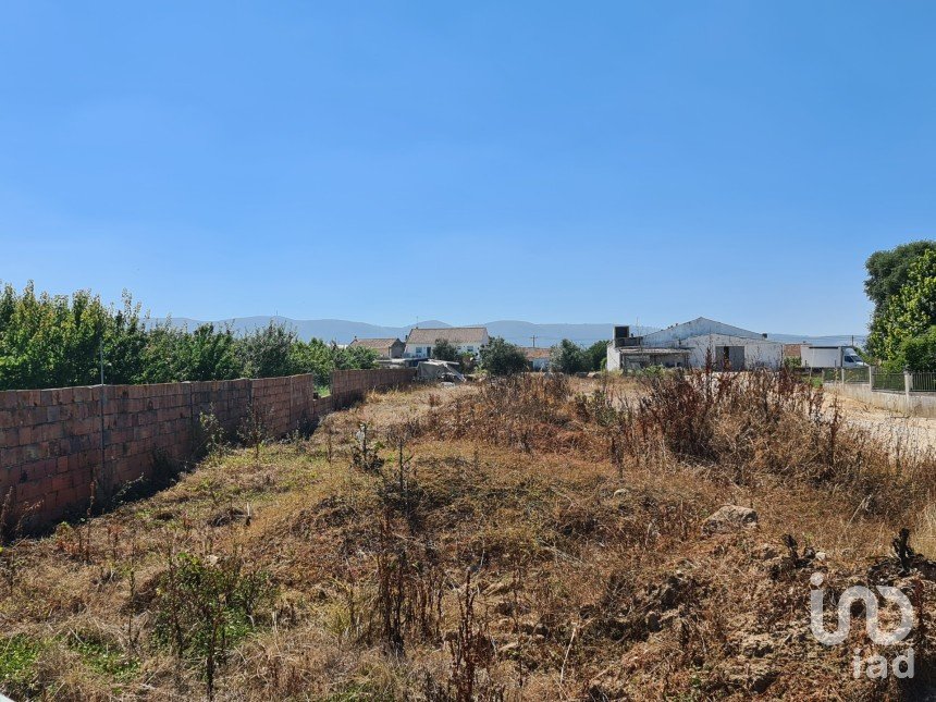 Terrain à bâtir à Aljubarrota de 1 700 m²