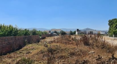 Building land in Aljubarrota of 1,700 m²