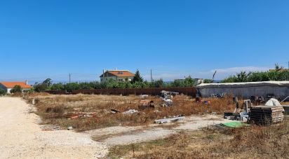 Terreno para construção em Aljubarrota de 1 700 m²