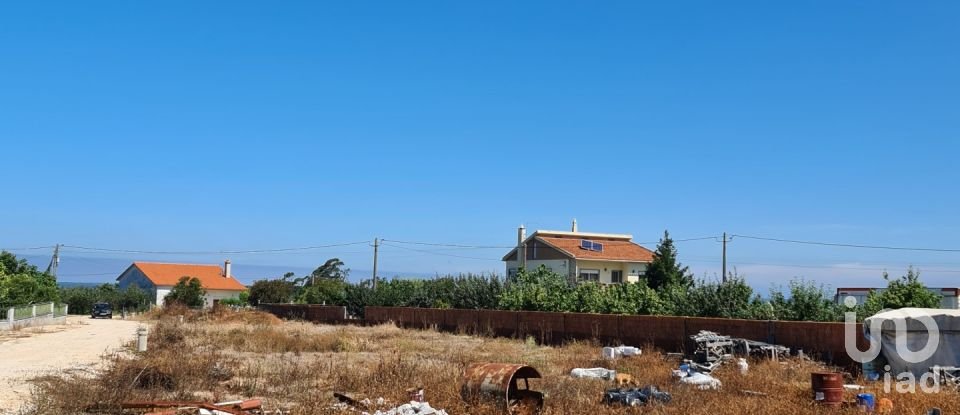 Terreno para construção em Aljubarrota de 1 700 m²