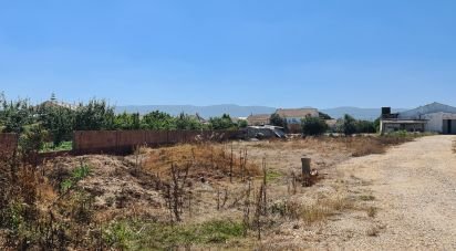 Building land in Aljubarrota of 1,700 m²