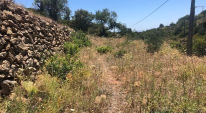 Terrain agricole à Conceição e Estoi de 2 260 m²