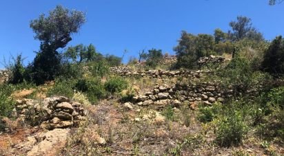 Terrain agricole à Conceição e Estoi de 2 260 m²