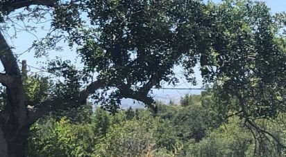 Terrain agricole à Conceição e Estoi de 2 260 m²