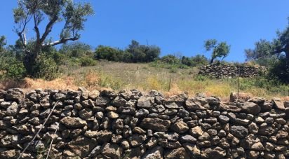 Terrain agricole à Conceição e Estoi de 2 260 m²