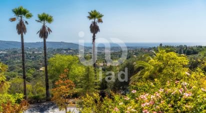 Demeure T4 à Loulé (São Clemente) de 510 m²