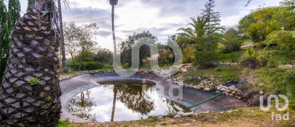 Habitação T4 em Loulé (São Clemente) de 510 m²