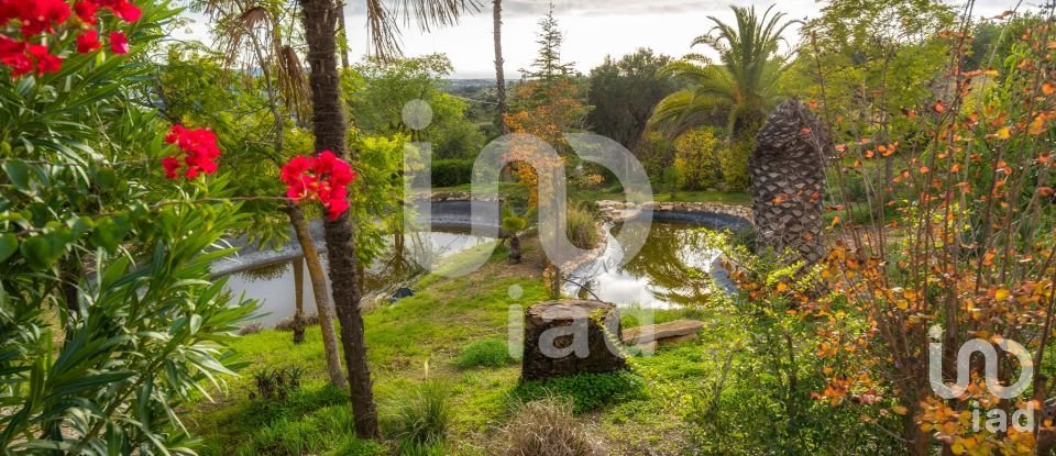 Habitação T4 em Loulé (São Clemente) de 510 m²