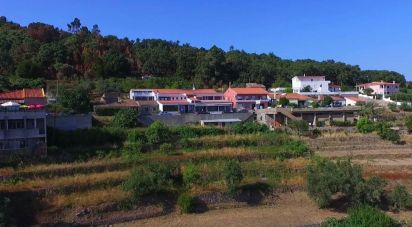 Land in Monchique of 1,400 m²