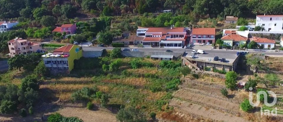 Terrain à Monchique de 1 400 m²