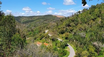 Terrain à Monchique de 1 400 m²