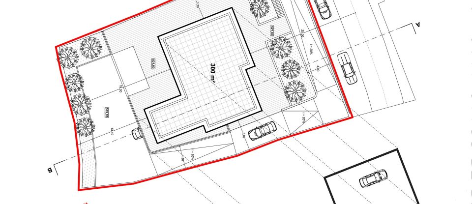 Terrain à Monchique de 1 400 m²