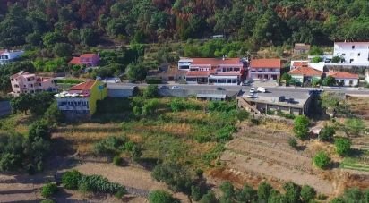 Terrain à Monchique de 1 400 m²