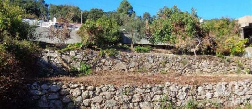 Terrain à Monchique de 1 400 m²