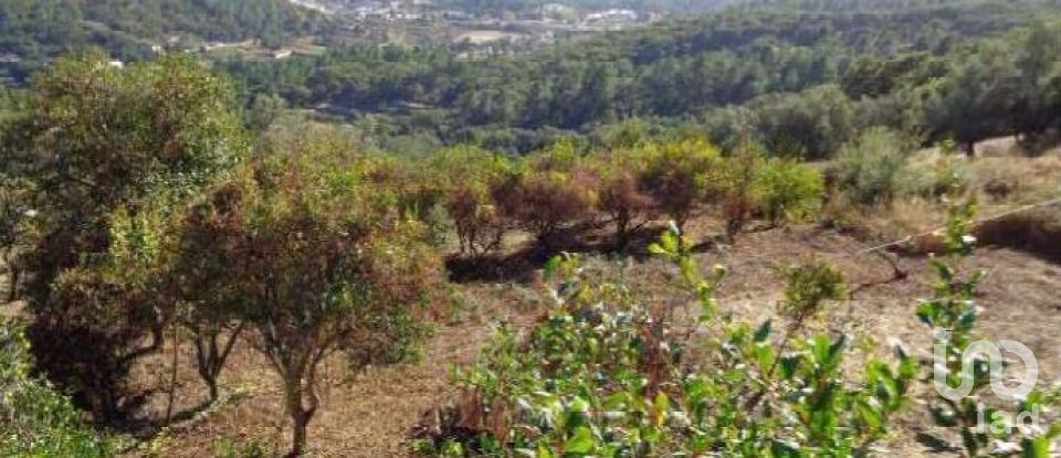 Terrain à Monchique de 1 400 m²