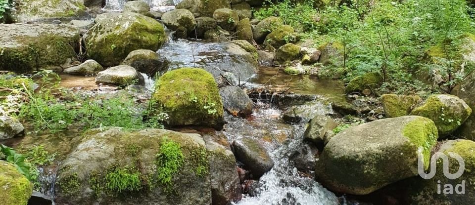 Terrain à Monchique de 1 400 m²