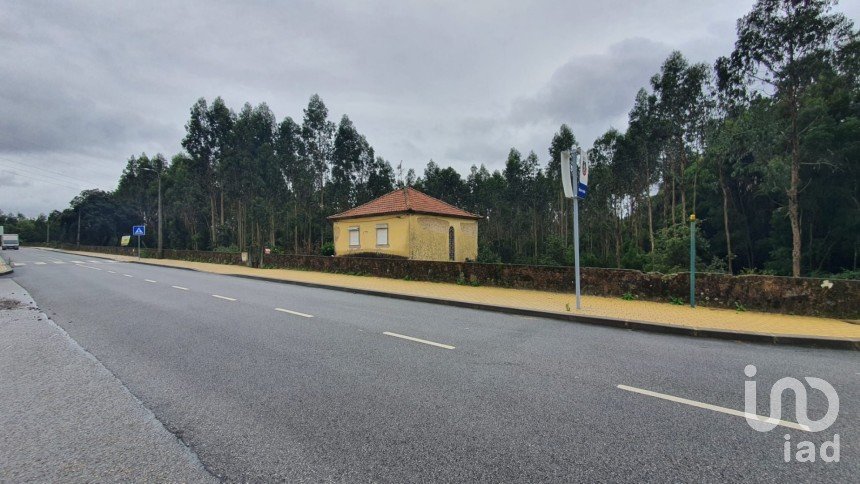 Terreno em Vila de Cucujães de 85 500 m²