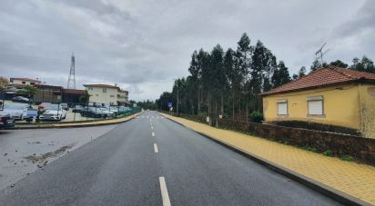 Terrain à Vila de Cucujães de 85 500 m²
