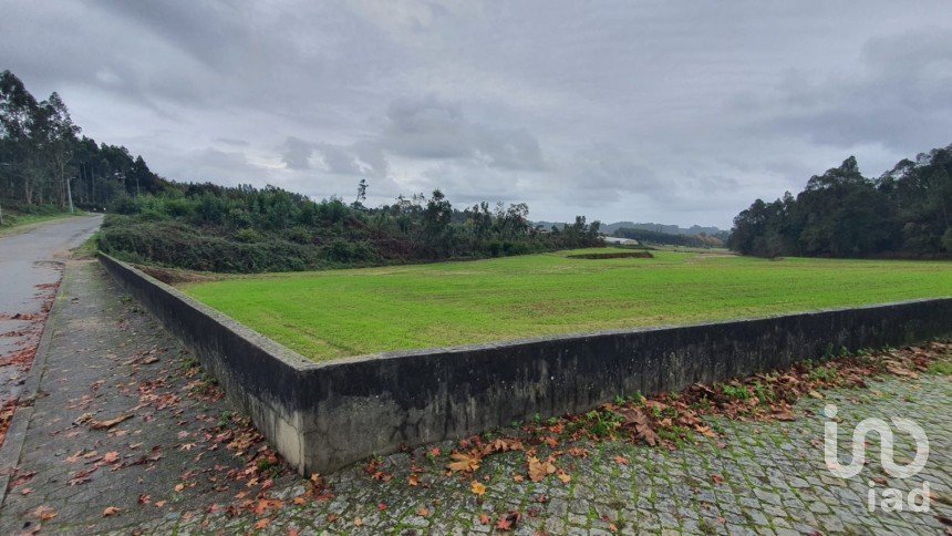 Terreno em Ovar, São João, Arada e São Vicente de Pereira Jusã de 56 125 m²