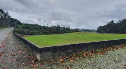 Terreno em Ovar, São João, Arada e São Vicente de Pereira Jusã de 56 125 m²