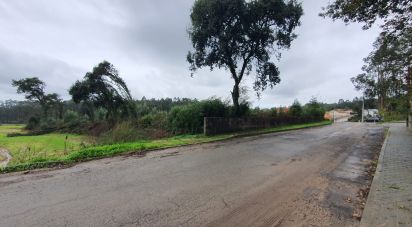 Terrain à Ovar, São João, Arada e São Vicente de Pereira Jusã de 56 125 m²