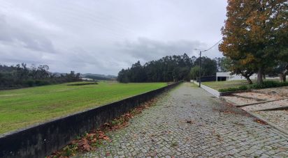 Terrain à Ovar, São João, Arada e São Vicente de Pereira Jusã de 56 125 m²