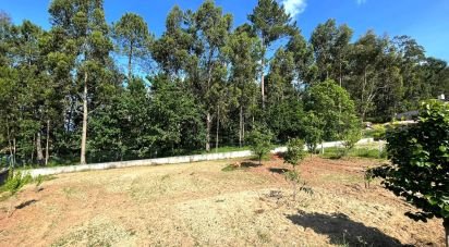 Terreno em Reboreda e Nogueira de 1 000 m²