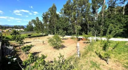 Land in Reboreda e Nogueira of 1,000 m²
