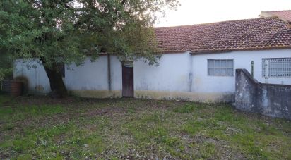 Country house T3 in Alcanede of 440 m²