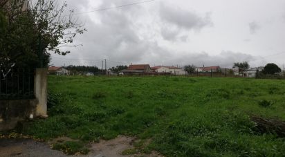 Land in Calvaria de Cima of 1,578 m²