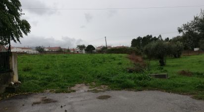 Land in Calvaria de Cima of 1,578 m²